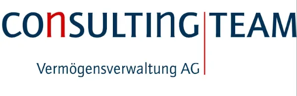 Consulting Team